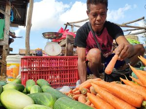 Bisnis Bangkrut, Yohanes Jual Sayuran Demi Sarjanakan Anak Bisnis Bangkrut, Yohanes Jual Sayuran Demi Sarjanakan Anak