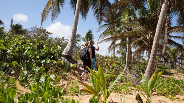 Di Tur Kelapa Ini, Bisa Belajar Bertahan Hidup dan Makan di Alam Bebas