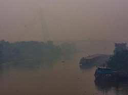 DPRD Riau Desak Presiden Jokowi Turun Tengok Korban Asap