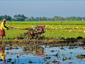 Simbiosis ( Wajah Pekerja )