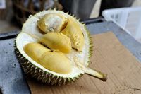 Kisah Bolu Gulung Durian yang Diciptakan Pencinta Durian