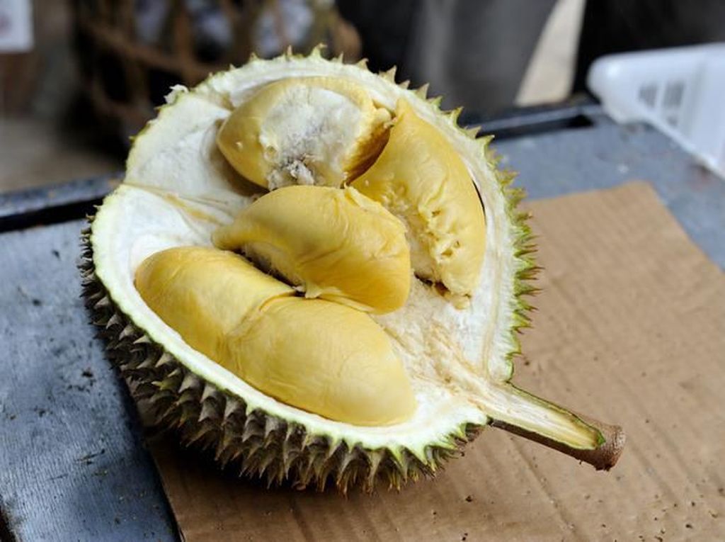 Pesawat Ini Mendarat Darurat Gara-gara... Durian Pesawat Ini Mendarat Darurat Gara-gara... Durian
