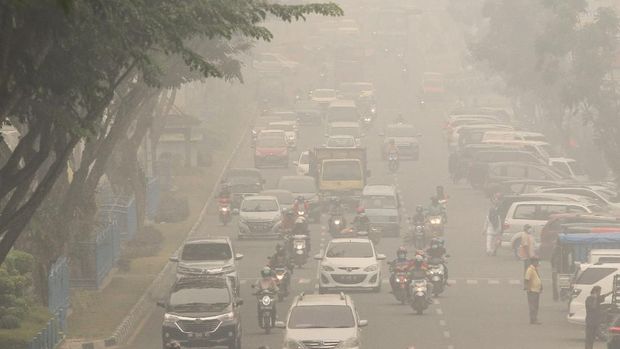 Kabut Asap Kalimantan Makin Pekat Pesawat Tak Berani Terbang