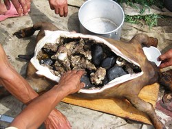 Selain Ekstrem, Makanan Ini Dijamin Bikin Orang Tak Sanggup Menelannya