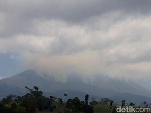 Ini Dampak Langsung Akibat Kebakaran Besar di Gunung Merbabu