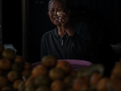 pedagang jeruk kintamani