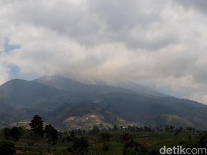 Kebakaran Gunung Merbabu Padam, 436 Hektare Hangus