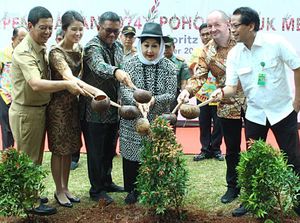 Penghijuan di Area Apartemen