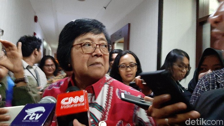 5 Perusahaan Malaysia dan Singapura Penyebab Karhutla di Kalbar-Riau Disegel