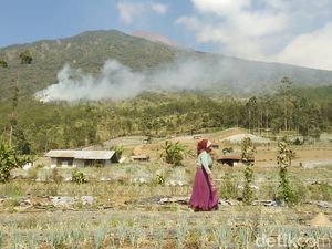Kebakaran Lereng Gunung Slamet, 500 Personel Gabungan Menuju Titik Api Kebakaran Lereng Gunung Slamet, 500 Personel Gabungan Menuju Titik Api