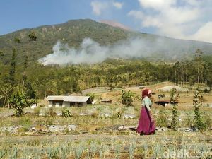 Kebakaran Gunung Slamet, 500 Personel Gabungan Sekat Api di 5 Sektor Kebakaran Gunung Slamet, 500 Personel Gabungan Sekat Api di 5 Sektor