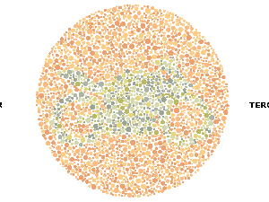 Tebak Siluet Gambar, Kalau Nggak Kelihatan Bisa Jadi Kamu Buta Warna