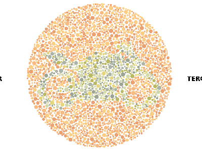 Tebak Siluet Gambar, Kalau Nggak Kelihatan Bisa Jadi Kamu Buta Warna