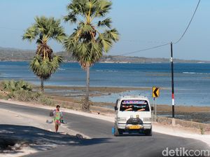 Mengenal Pulau Rote dari Film Menyayat Hati Women From Rote Island Mengenal Pulau Rote dari Film Menyayat Hati Women From Rote Island