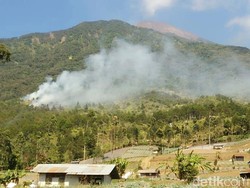 Kebakaran Hutan di Gunung Slamet DInyatakan Padam