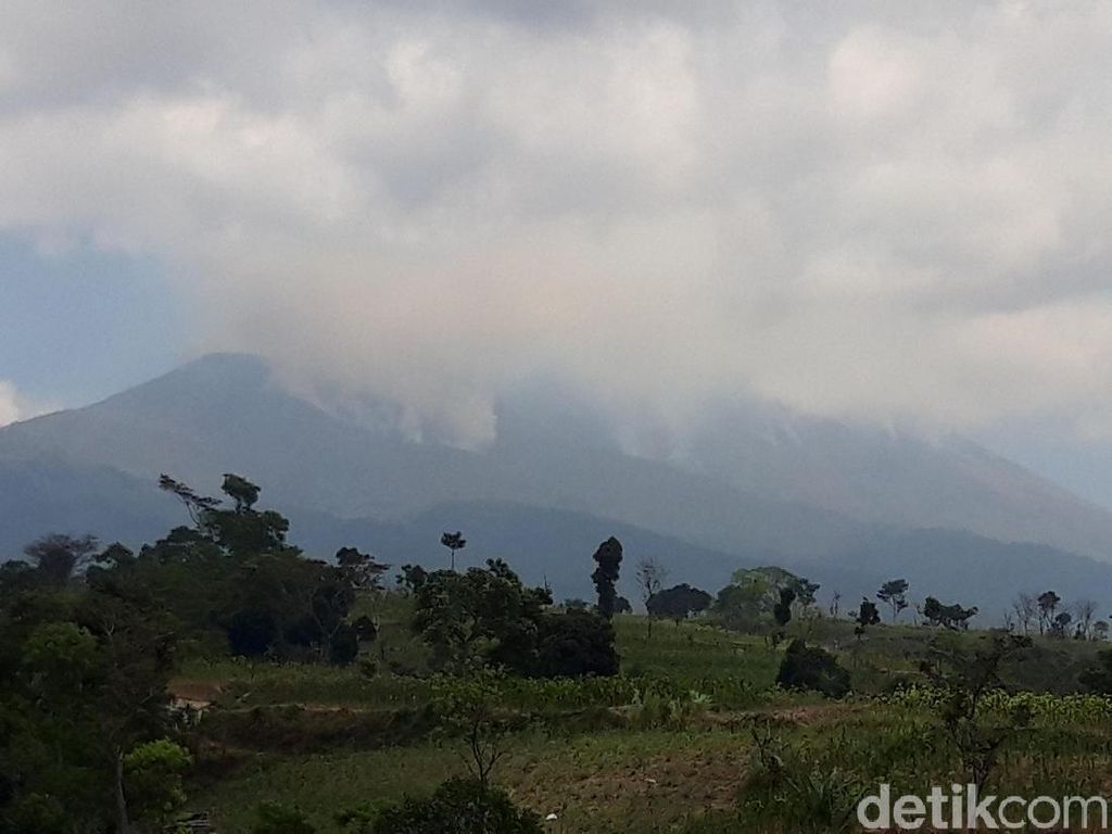 Tinggal Belasan, Satwa Endemik Rek-rekan Terancam Kebakaran di Merbabu Tinggal Belasan, Satwa Endemik Rek-rekan Terancam Kebakaran di Merbabu