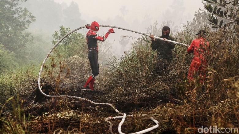 Kemendagri akan Cek Pejabat Daerah yang Tak Hadiri Rapat Karhutla