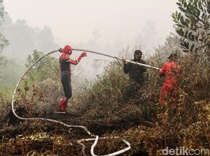 Kemendagri akan Cek Pejabat Daerah yang Tak Hadiri Rapat Karhutla