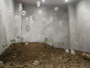 Museum Ini Punya Kebun Karet Mini