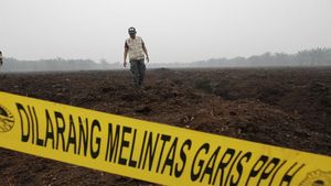 Lahan Perusahaan Asal Malaysia Disegel KLHK