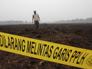 Perusahaan Singapura dan Malaysia Diduga Terlibat Karhutla
