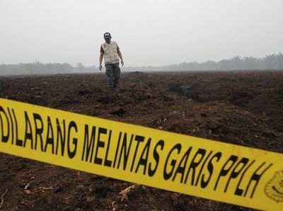Lahan Perusahaan Asal Malaysia Disegel KLHK