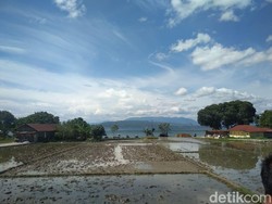 Diguyur Hujan, Kabut Asap di Sumut Imbas Karhutla Riau Mulai Hilang