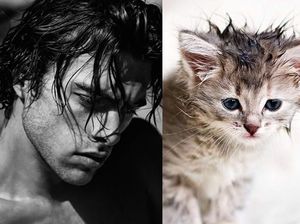 Gaya Kocak Si Kucing Kala Meniru Pose Model Pria