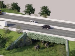 BKSDA Identifikasi Tol Sigli-Banda Aceh yang Punya Underpass untuk Gajah