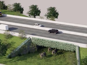 BKSDA Identifikasi Tol Sigli-Banda Aceh yang Punya Underpass untuk Gajah BKSDA Identifikasi Tol Sigli-Banda Aceh yang Punya Underpass untuk Gajah