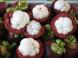 Kementan Jadikan Hortikultura Prioritas Ekspor