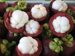 Kementan Jadikan Hortikultura Prioritas Ekspor