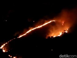Hutan dan Lahan di Gunung Welirang Seluas 100 Hektar Ludes Terbakar