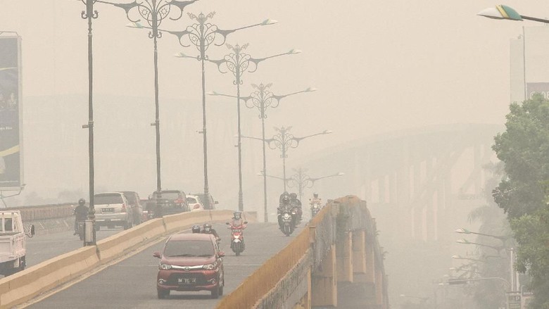 Kabut Asap Masih Pekat, Libur Anak Sekolah di Pekanbaru Diperpanjang