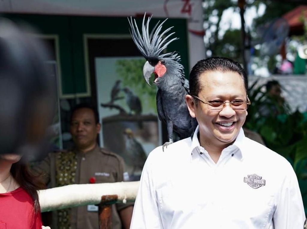 Puji Banyak Anak Muda di Kabinet Jokowi, Bamsoet Singgung Perubahan Zaman Puji Banyak Anak Muda di Kabinet Jokowi, Bamsoet Singgung Perubahan Zaman