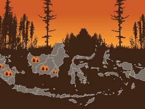 Data-data tentang Kebakaran Hutan di Kalimantan Data-data tentang Kebakaran Hutan di Kalimantan