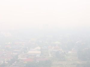 Data Airvisual: Udara Palangka Raya Berbahaya, Jambi-Pekanbaru Tidak Sehat!