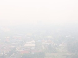 Tinjau Kebakaran Hutan, Panglima TNI Kerahkan Drone Pantau Titik Api