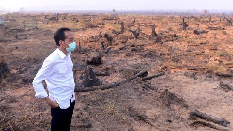 Cek Karhutla, Jokowi Bertolak ke Riau Hari Ini
