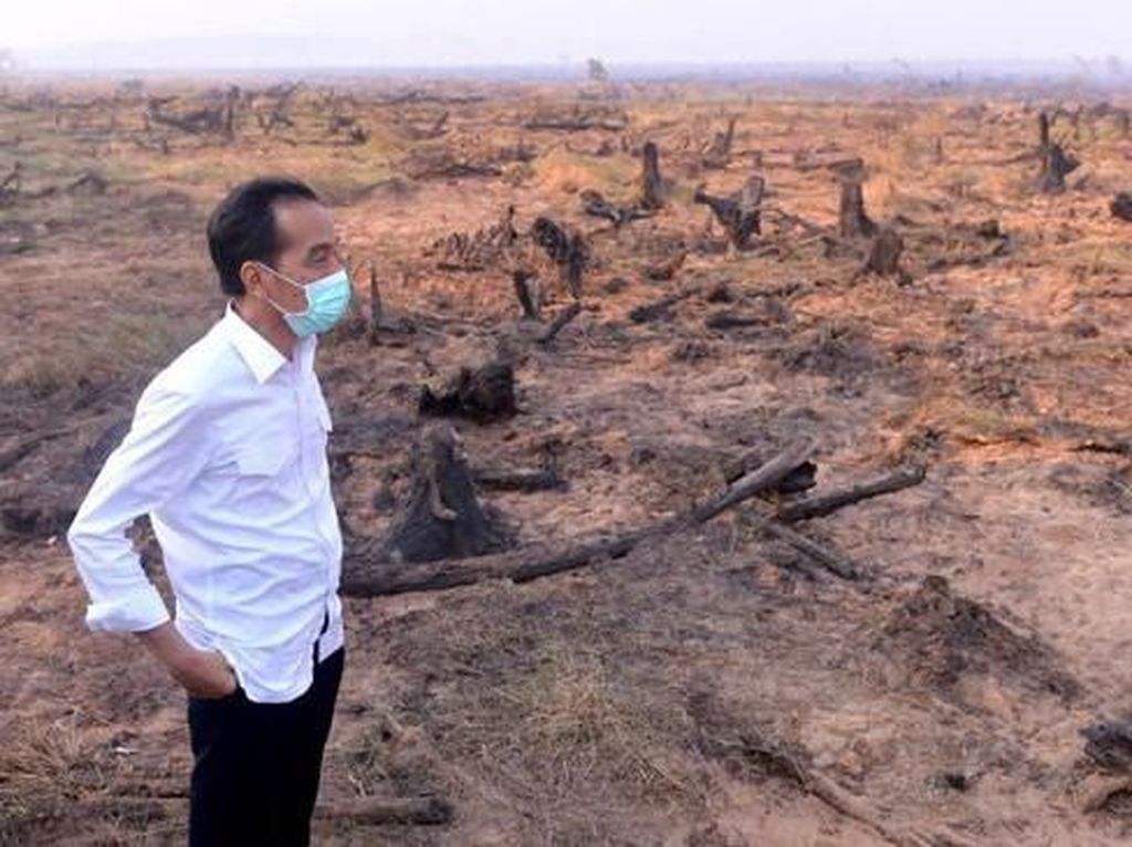 Jokowi Dilantik, Aktivis Lingkungan Ingatkan soal Karhutla-Kabut Asap Jokowi Dilantik, Aktivis Lingkungan Ingatkan soal Karhutla-Kabut Asap