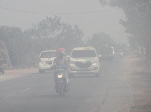 Curhat Pedagang Dikepung Pekatnya Kabut Asap Curhat Pedagang Dikepung Pekatnya Kabut Asap