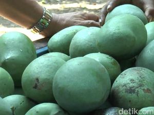 Kalender Jawa Selasa Kliwon 4 April 2023: Waktunya Panen Buah