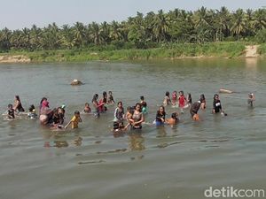 Potret Tradisi Rasa Syukur Panen di Sulawesi Barat