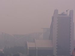 Banyak Asap, Penerbangan di Sumatera dan Kalimantan Masih Amburadul