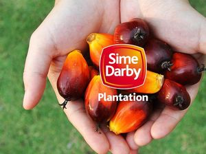 Disebut Menteri Siti Sumber Karhutla, Perusahaan Malaysia Membantah