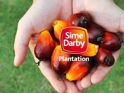 Disebut Menteri Siti Sumber Karhutla, Perusahaan Malaysia Membantah