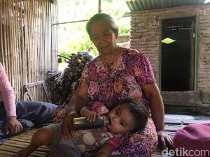 Soal Bayi Minum Kopi di Sulbar, Dokter Ungkap Risiko Malnutrisi Soal Bayi Minum Kopi di Sulbar, Dokter Ungkap Risiko Malnutrisi