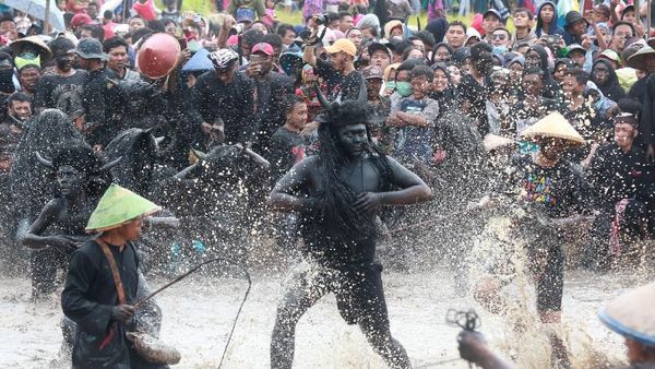 Melihat Keseruan Ritual Kebo-keboan Alasmalang