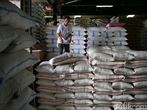 Mau Akhir Tahun, Bulog Baru Serap Beras Petani 63,6% Mau Akhir Tahun, Bulog Baru Serap Beras Petani 63,6%