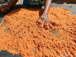 Gula Semut Produksi Petani RI Tembus Pasar Malaysia & Kanada Gula Semut Produksi Petani RI Tembus Pasar Malaysia & Kanada